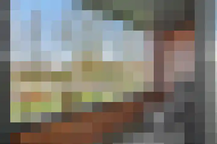 Achtste Donk 22 A 's-Hertogenbosch thumbnail 8