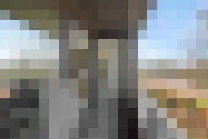 Achtste Donk 22 A 's-Hertogenbosch thumbnail 9