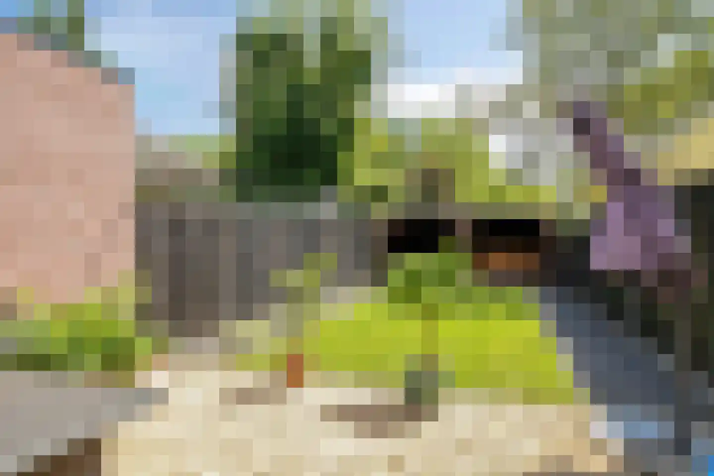 Achtste Reit 13 's-Hertogenbosch thumbnail 26