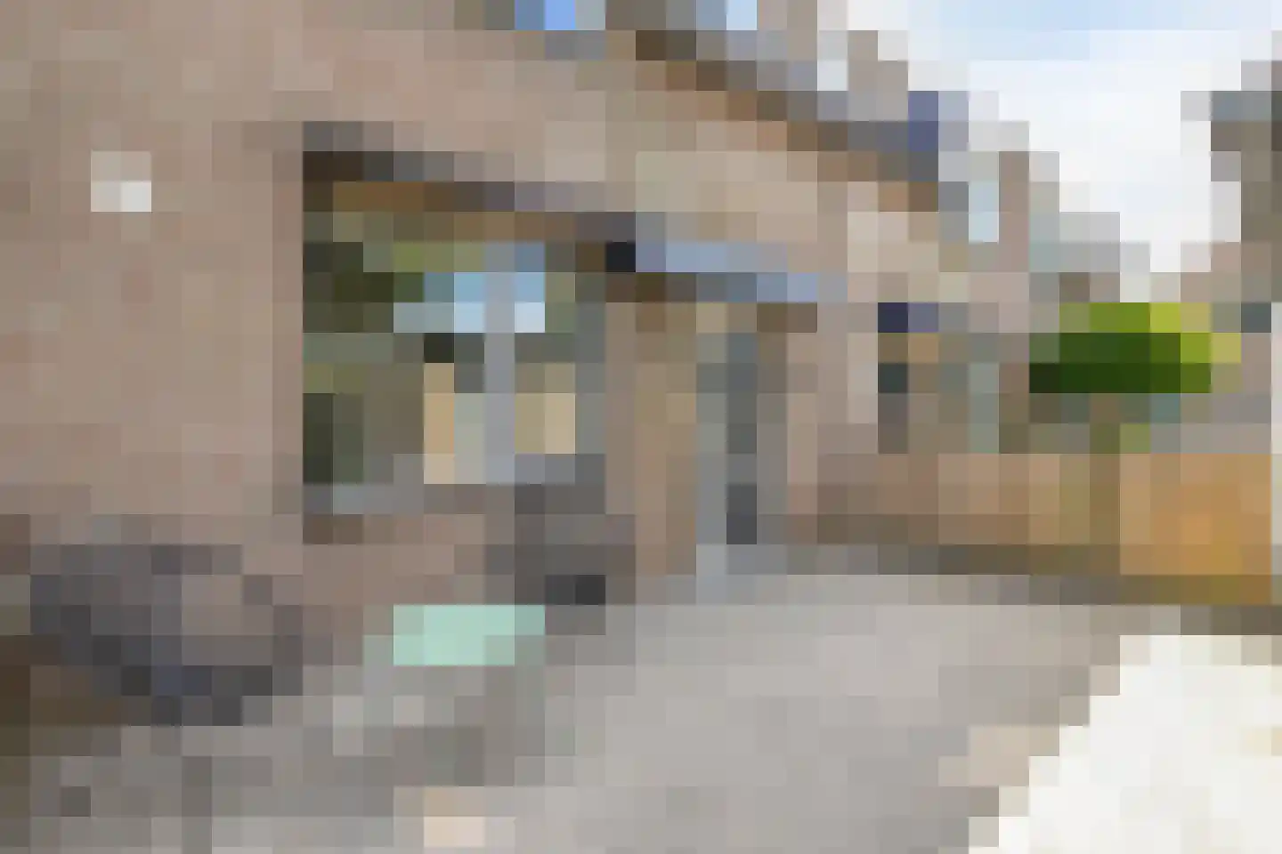 Achtste Reit 13 's-Hertogenbosch thumbnail 32