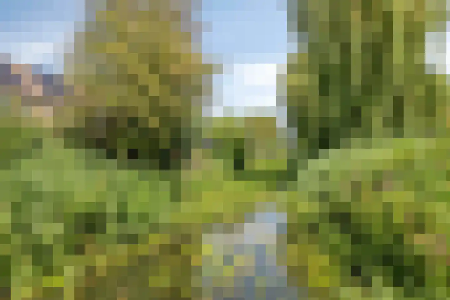 Achtste Reit 13 's-Hertogenbosch thumbnail 37