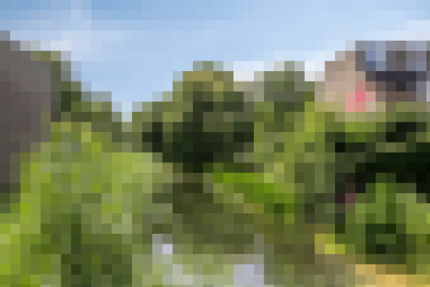 Achtste Reit 13 's-Hertogenbosch thumbnail 38