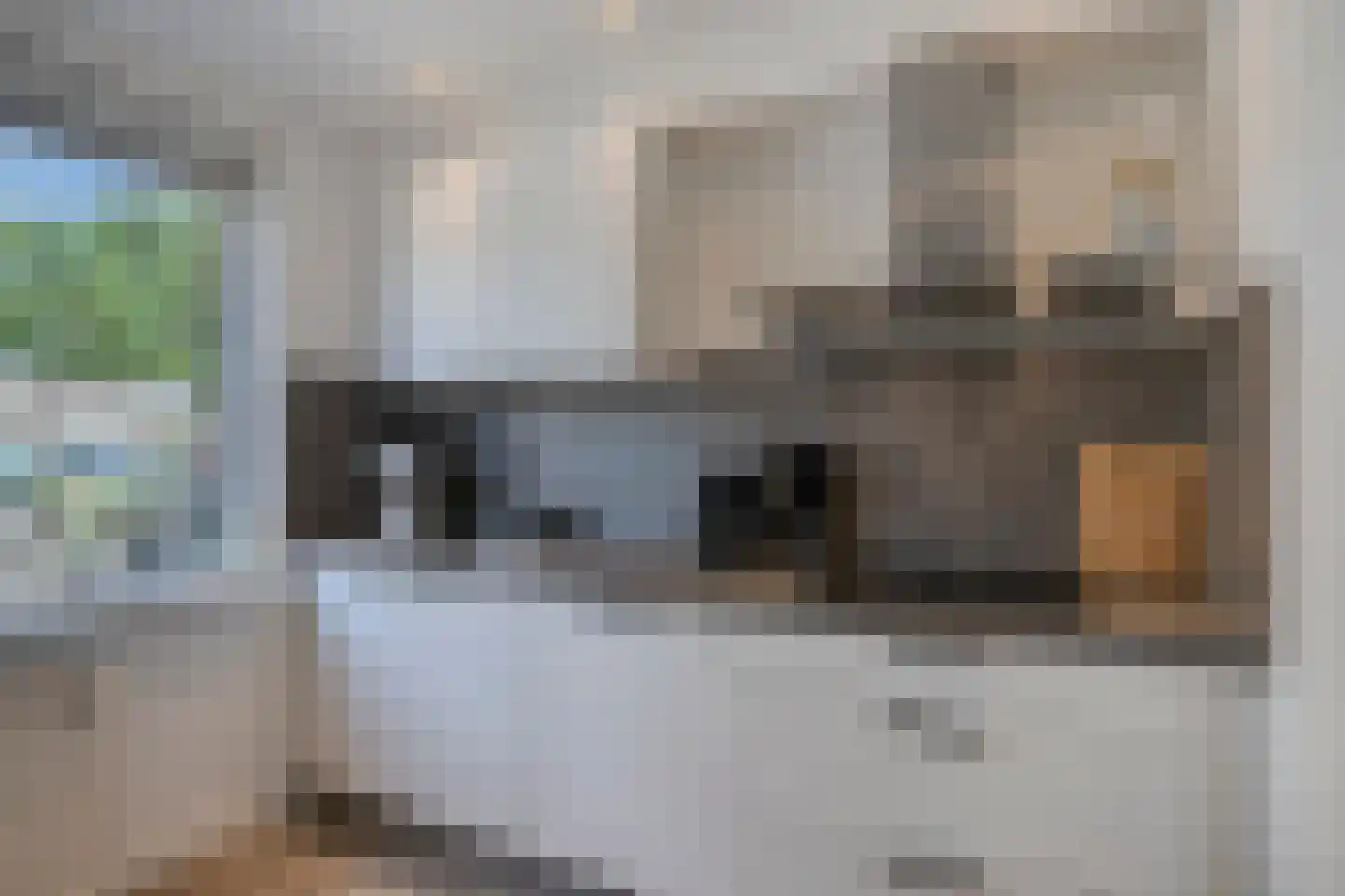 Achtste Reit 13 's-Hertogenbosch thumbnail 9