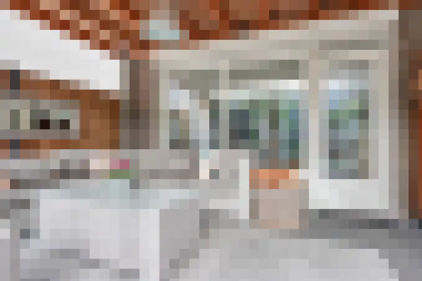 Achtste Reit 19 's-Hertogenbosch thumbnail 12
