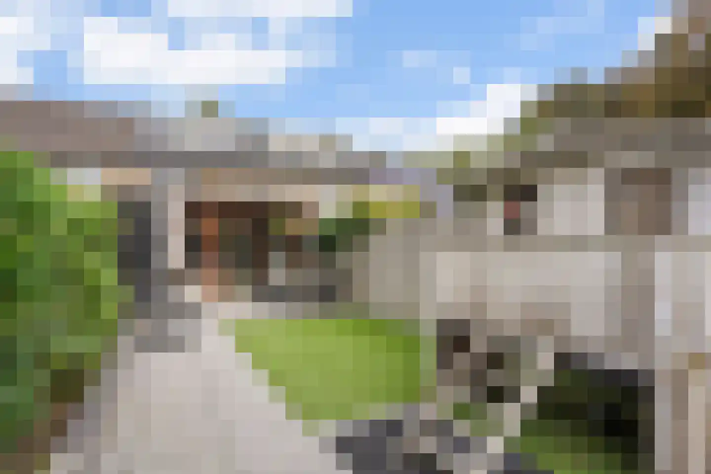 Achtste Reit 19 's-Hertogenbosch thumbnail 19