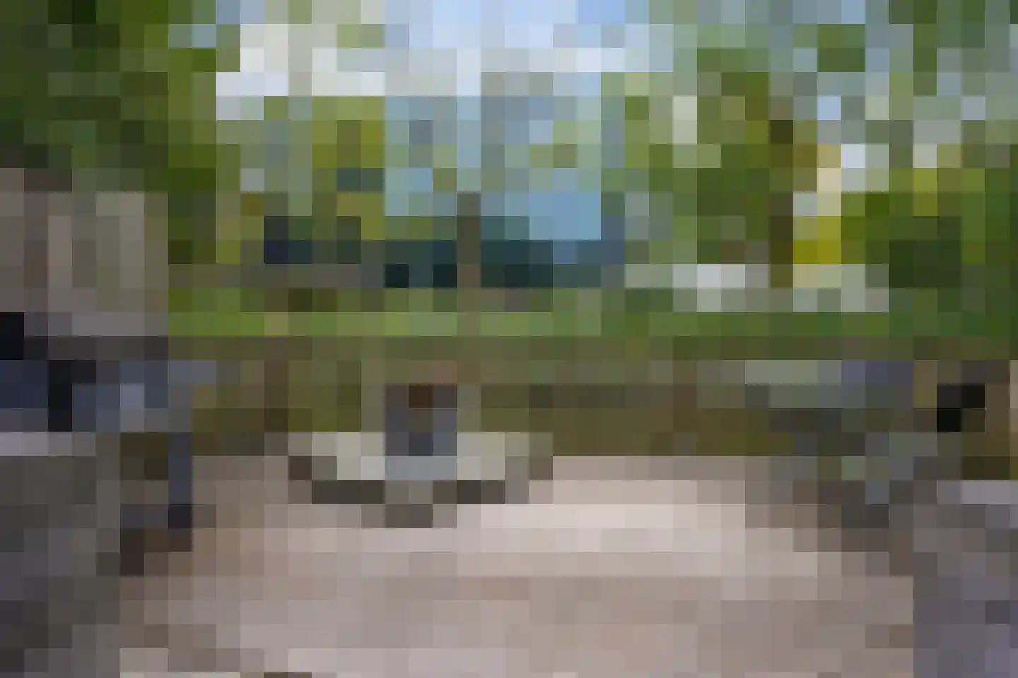 Achtste Reit 19 's-Hertogenbosch thumbnail 21