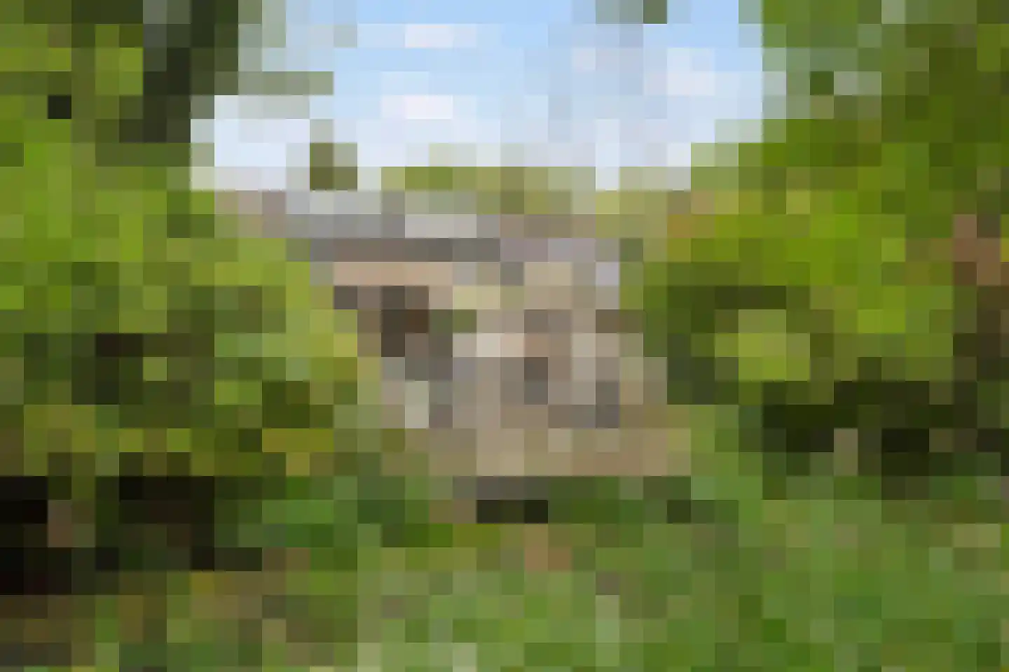 Achtste Reit 19 's-Hertogenbosch thumbnail 22