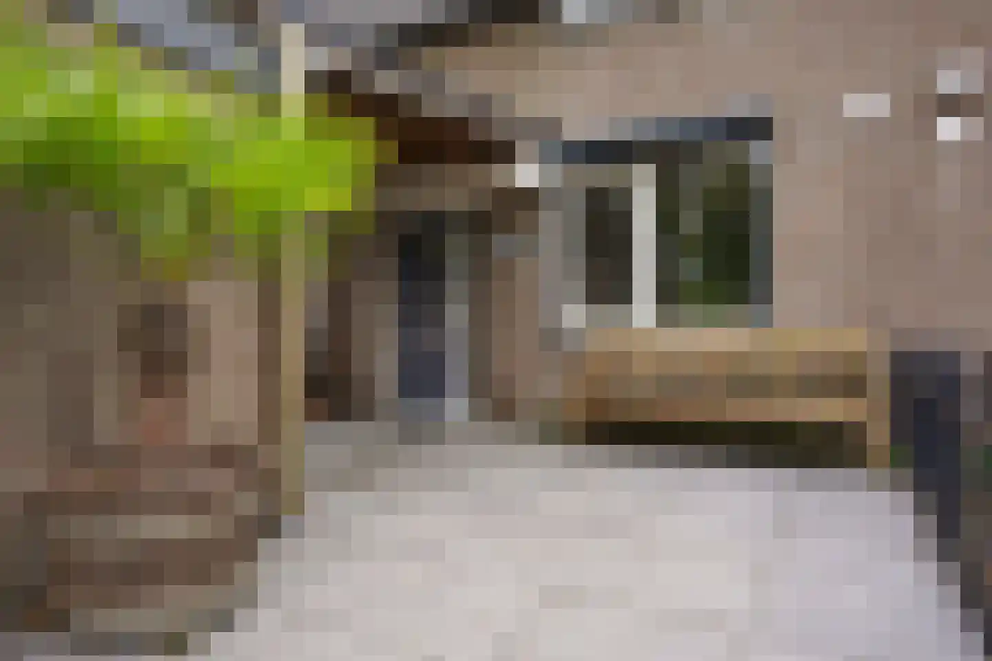 Achtste Reit 19 's-Hertogenbosch thumbnail 39