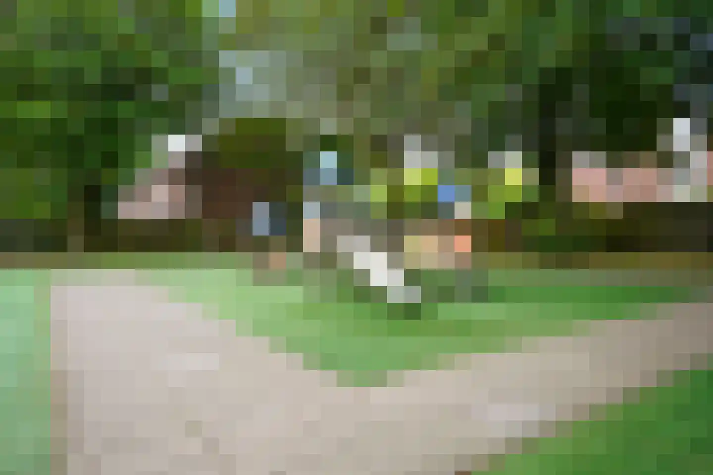 Achtste Reit 19 's-Hertogenbosch thumbnail 42