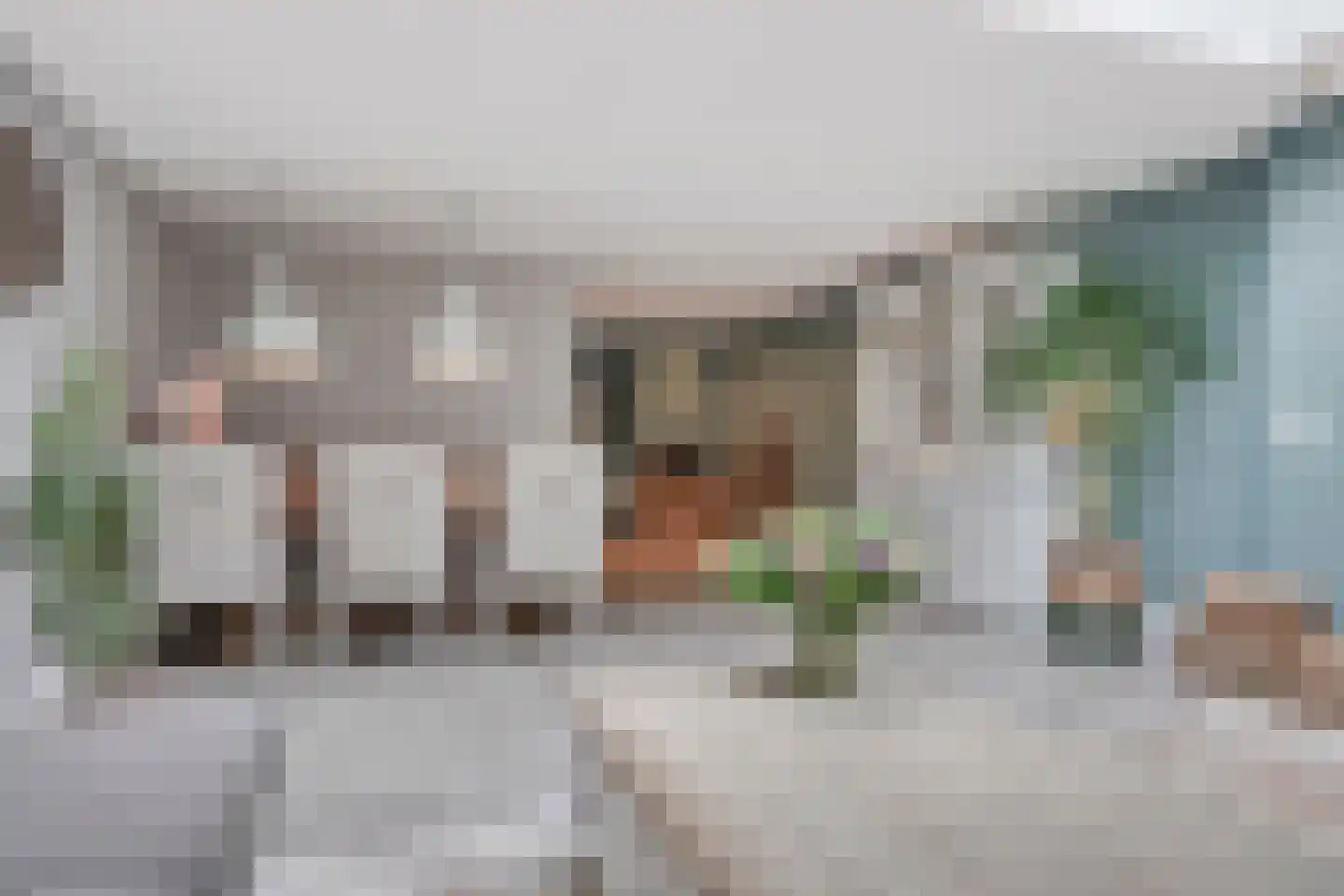 Achtste Reit 19 's-Hertogenbosch thumbnail 5