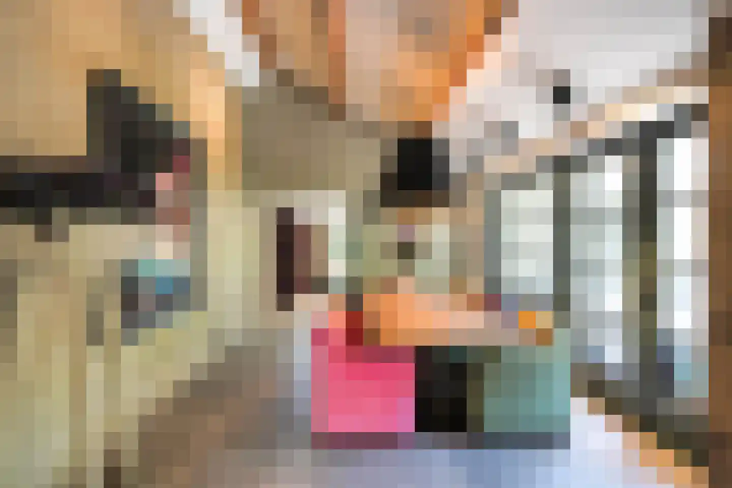 Achttienhontpad 4 Warmond thumbnail 16