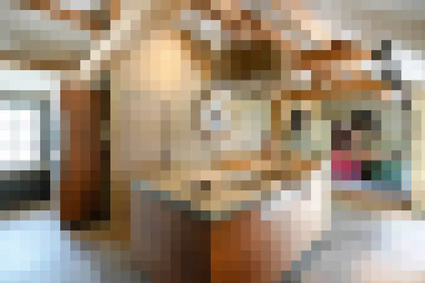 Achttienhontpad 4 Warmond thumbnail 17