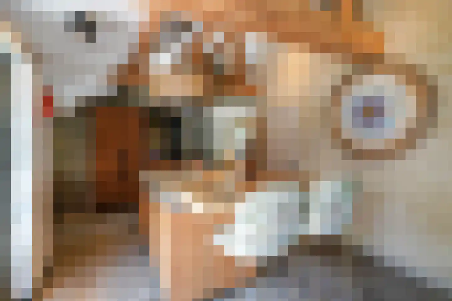 Achttienhontpad 4 Warmond thumbnail 20