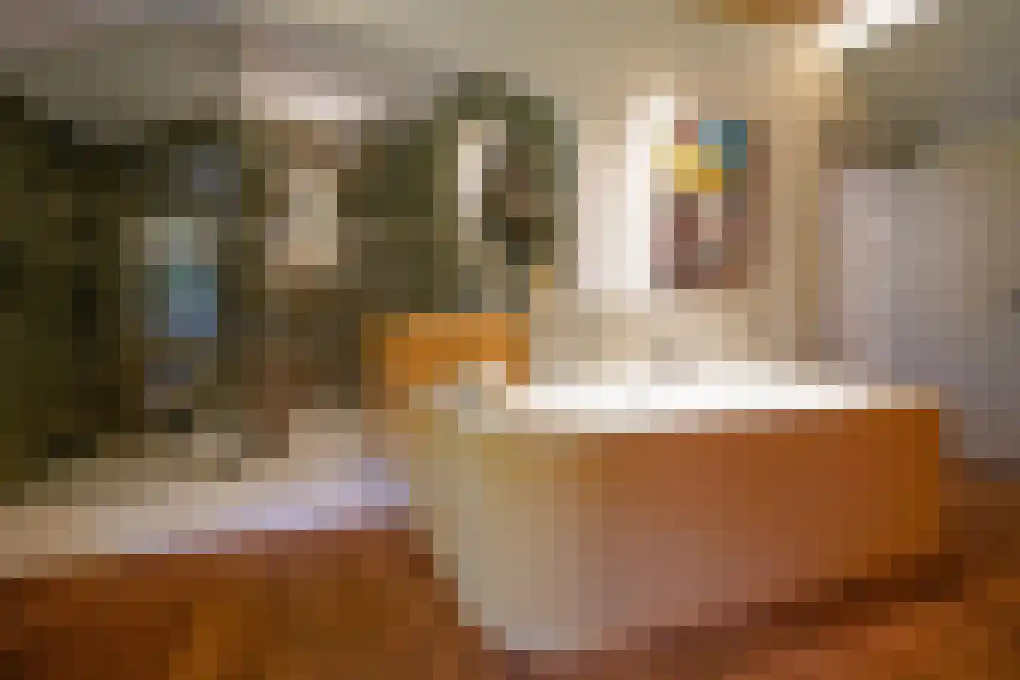 Achttienhontpad 4 Warmond thumbnail 25
