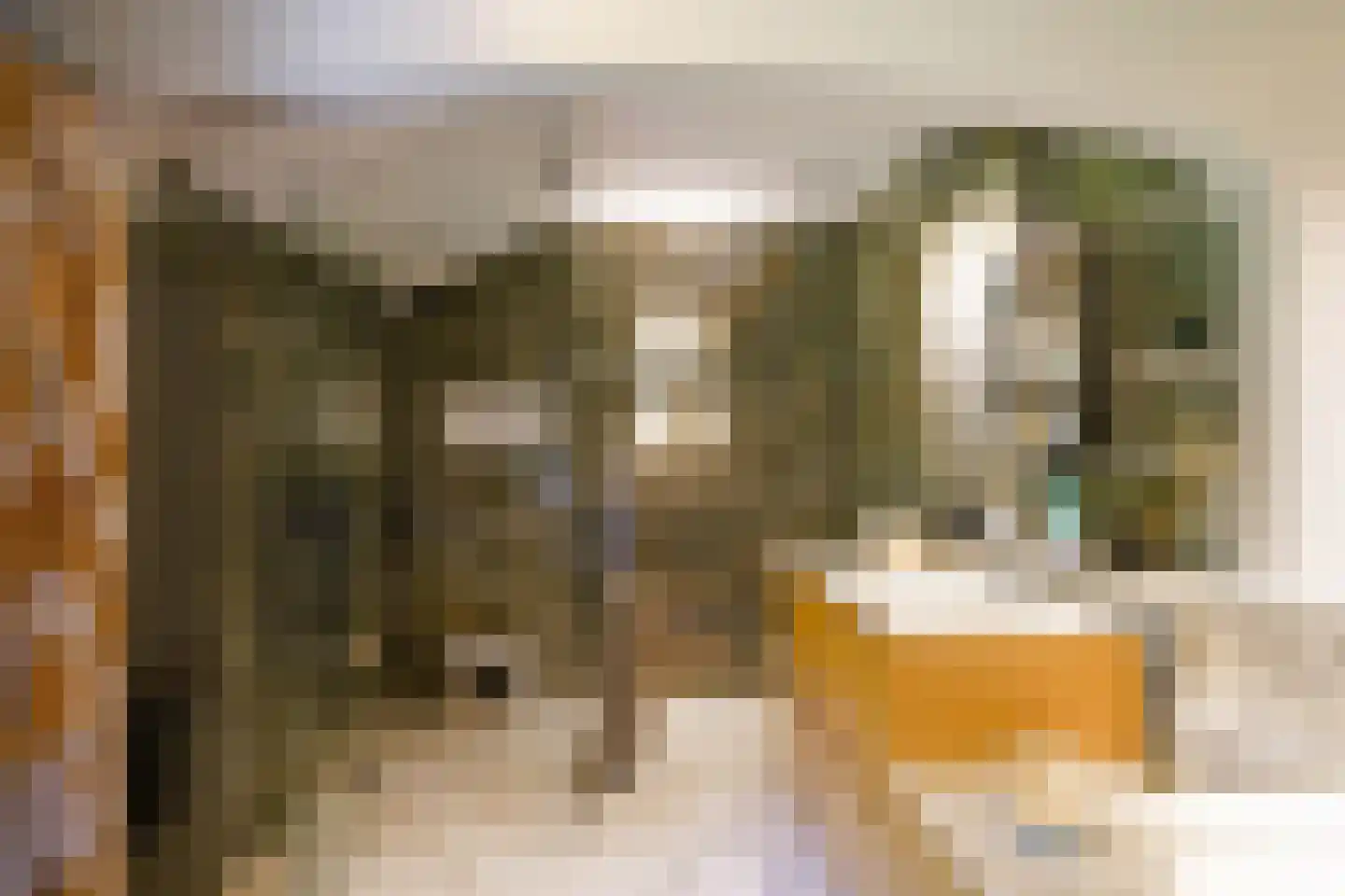 Achttienhontpad 4 Warmond thumbnail 26