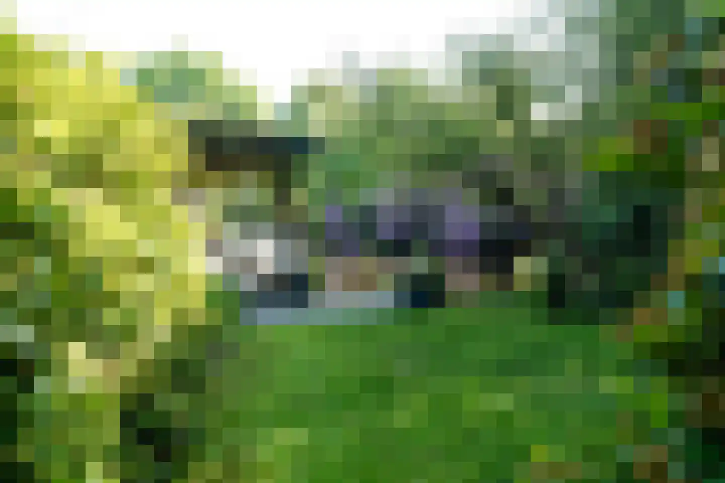 Achttienhontpad 4 Warmond thumbnail 36