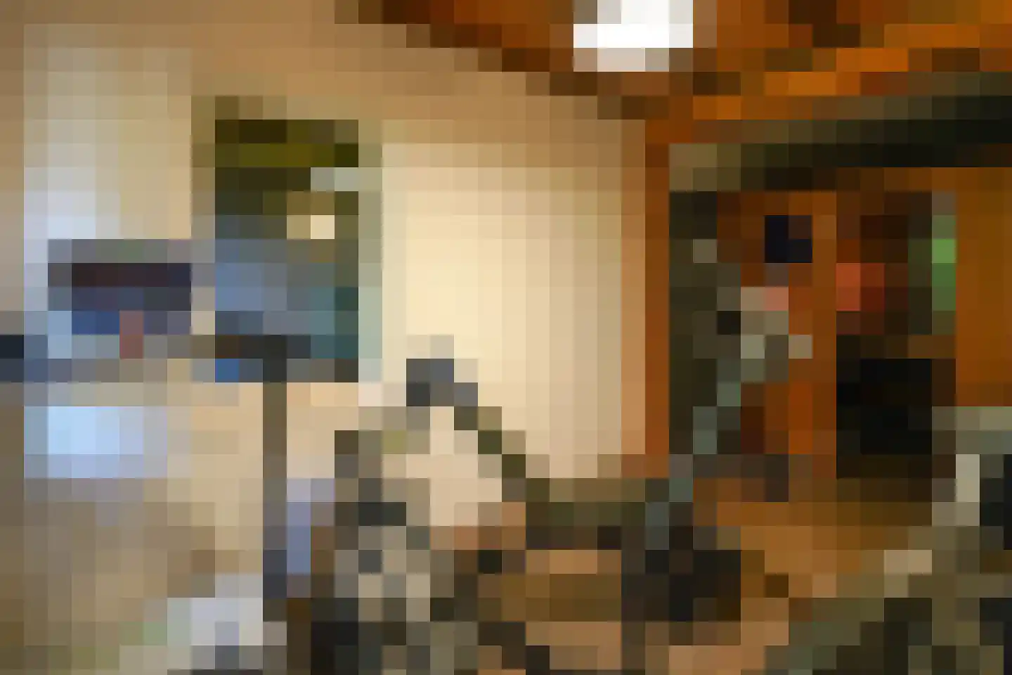 Achttienhontpad 4 Warmond thumbnail 55