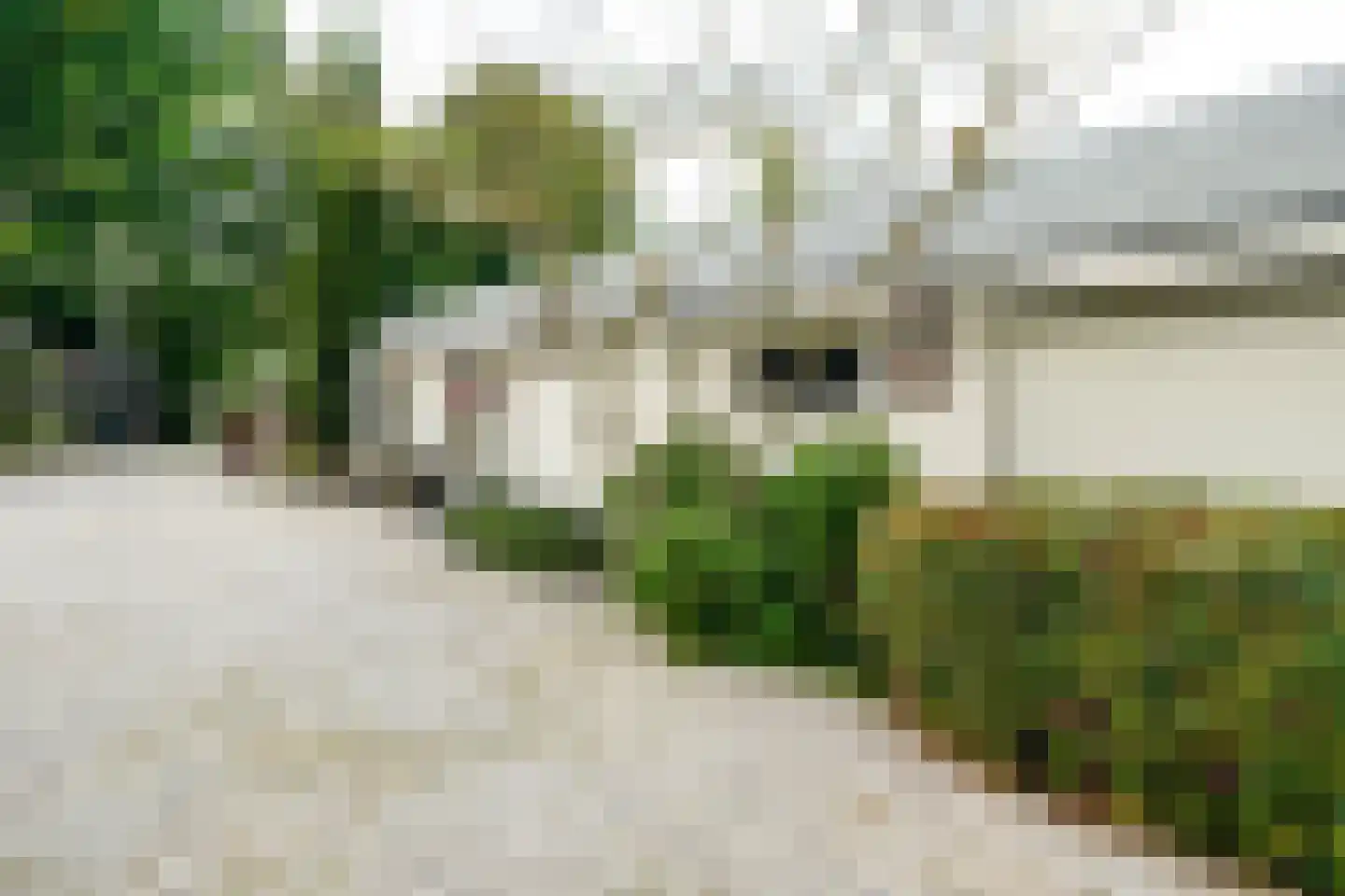 Achttienhontpad 4 Warmond thumbnail 58