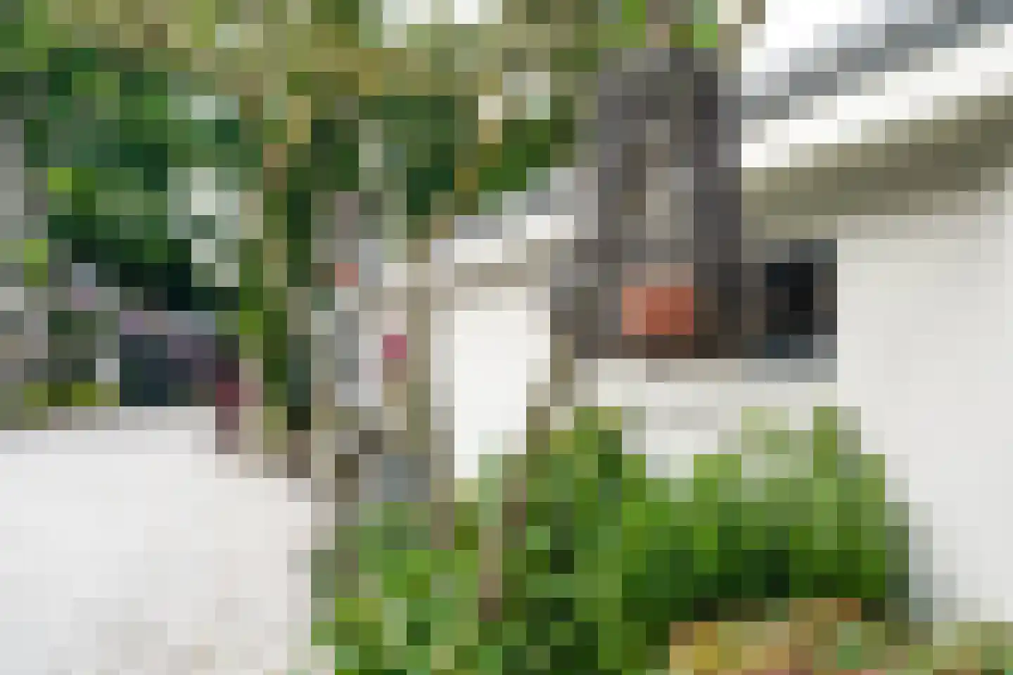 Achttienhontpad 4 Warmond thumbnail 59