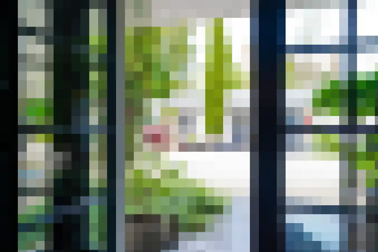 Achttienhontpad 4 Warmond thumbnail 6