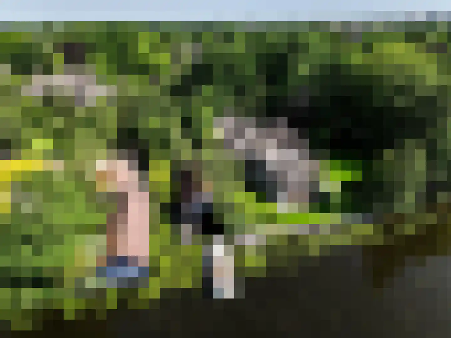 Achttienhontpad 4 Warmond thumbnail 63