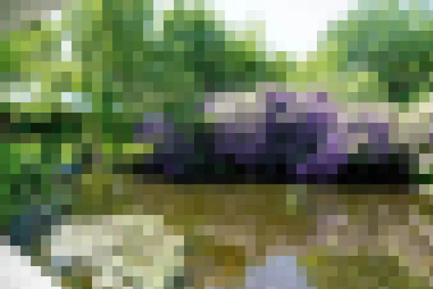 Achttienhontpad 4 Warmond thumbnail 9