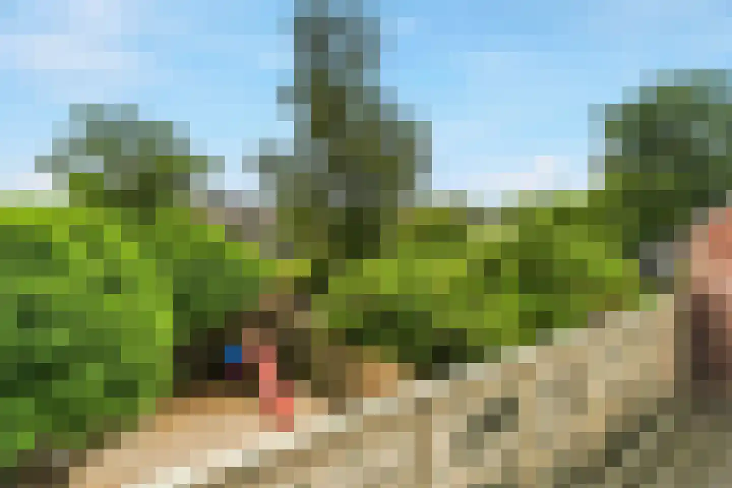 Ackerbroekweg 21 Nijmegen thumbnail 15