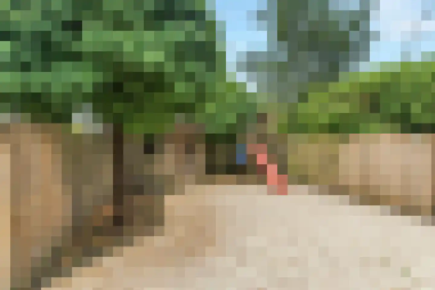 Ackerbroekweg 21 Nijmegen thumbnail 30