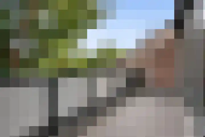 Ackerbroekweg 31 Nijmegen thumbnail 30