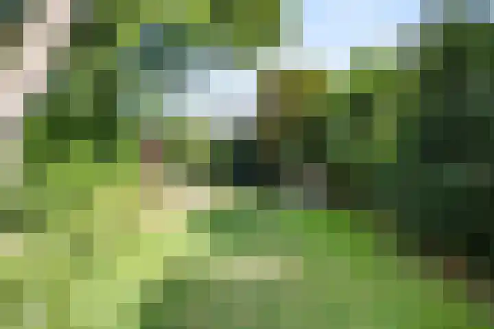 Ackerbroekweg 31 Nijmegen thumbnail 44
