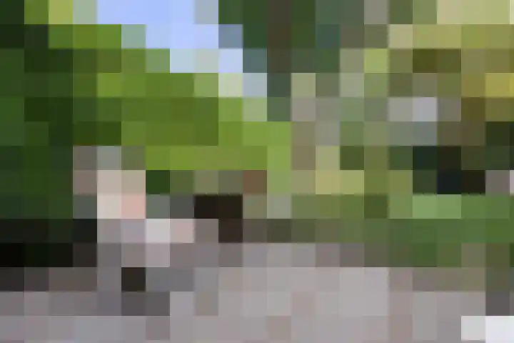 Ackerbroekweg 31 Nijmegen thumbnail 45