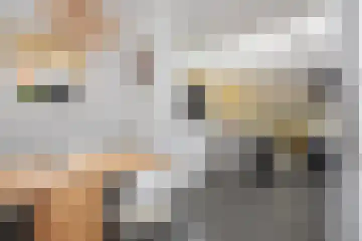 Ackersdijckstraat 2 's-Hertogenbosch thumbnail 19