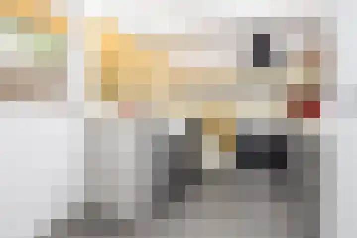 Ackersdijckstraat 2 's-Hertogenbosch thumbnail 20
