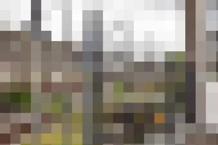 Ackersdijckstraat 2 's-Hertogenbosch thumbnail 32