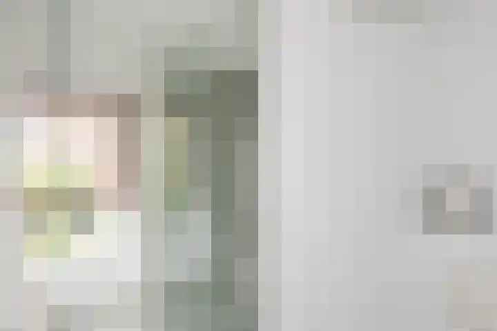 Ackersdijckstraat 2 's-Hertogenbosch thumbnail 36