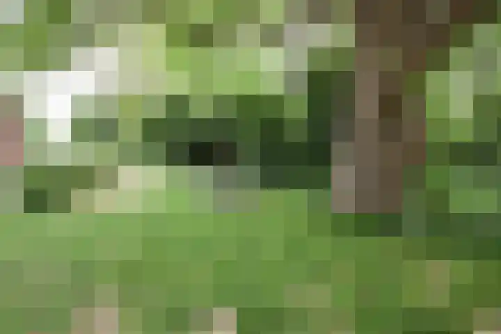 Ackersdijckstraat 2 's-Hertogenbosch thumbnail 48