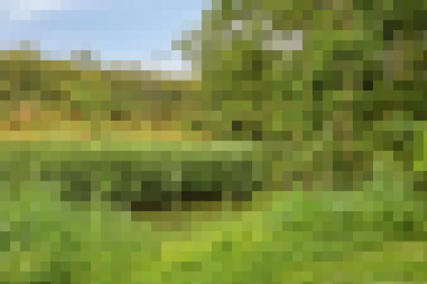Ackersdijckstraat 29 's-Hertogenbosch thumbnail 34