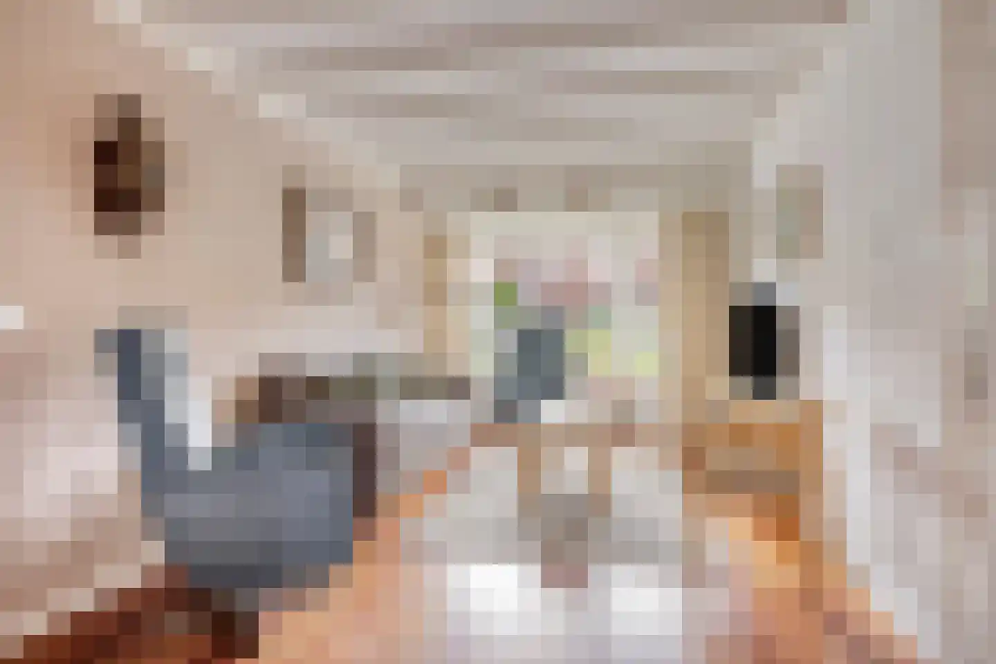 Ackersdijckstraat 29 's-Hertogenbosch thumbnail 7