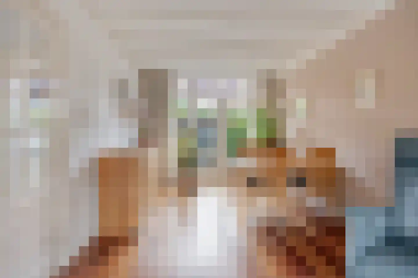 Ackersdijckstraat 29 's-Hertogenbosch thumbnail 9