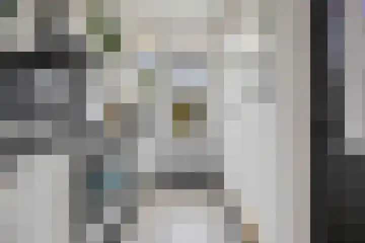 Ackersdijckstraat 33 's-Hertogenbosch thumbnail 15