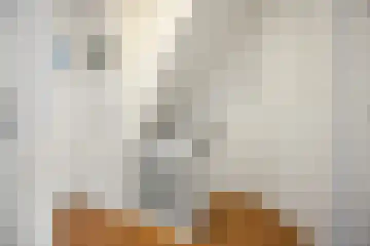 Ackersdijckstraat 33 's-Hertogenbosch thumbnail 20