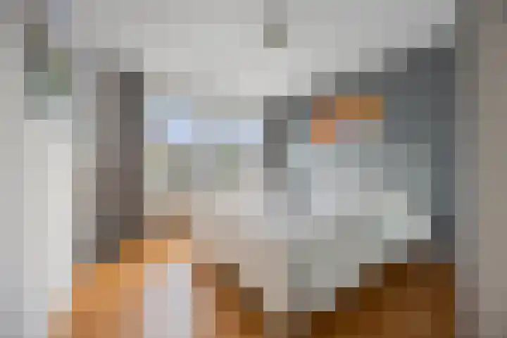 Ackersdijckstraat 33 's-Hertogenbosch thumbnail 21