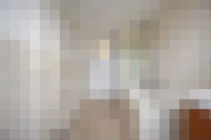 Ackersdijckstraat 33 's-Hertogenbosch thumbnail 24