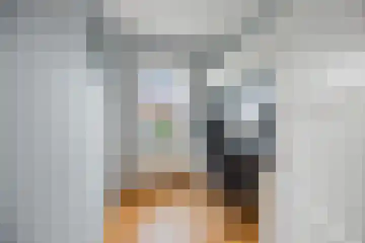 Ackersdijckstraat 33 's-Hertogenbosch thumbnail 27
