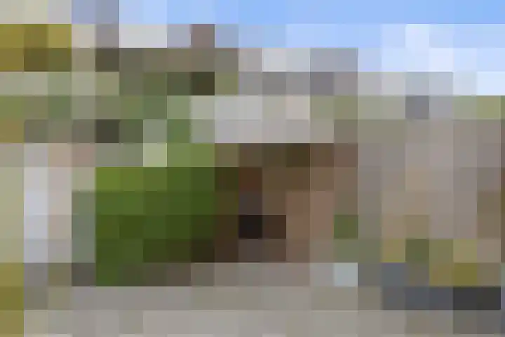 Ackersdijckstraat 33 's-Hertogenbosch thumbnail 32