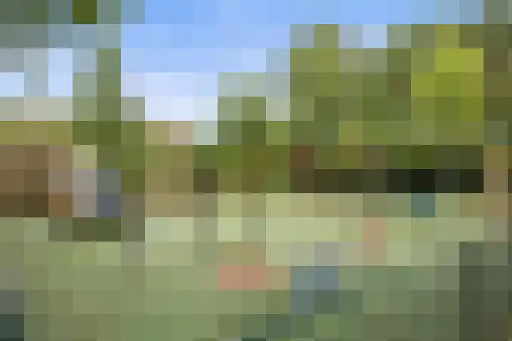Ackersdijckstraat 33 's-Hertogenbosch thumbnail 37