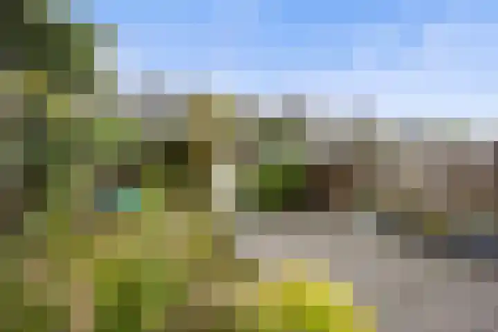 Ackersdijckstraat 33 's-Hertogenbosch thumbnail 4