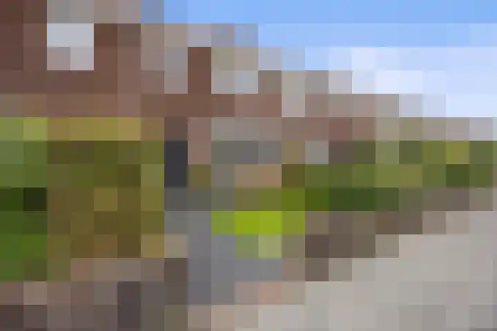 Ackersdijckstraat 33 's-Hertogenbosch thumbnail 5