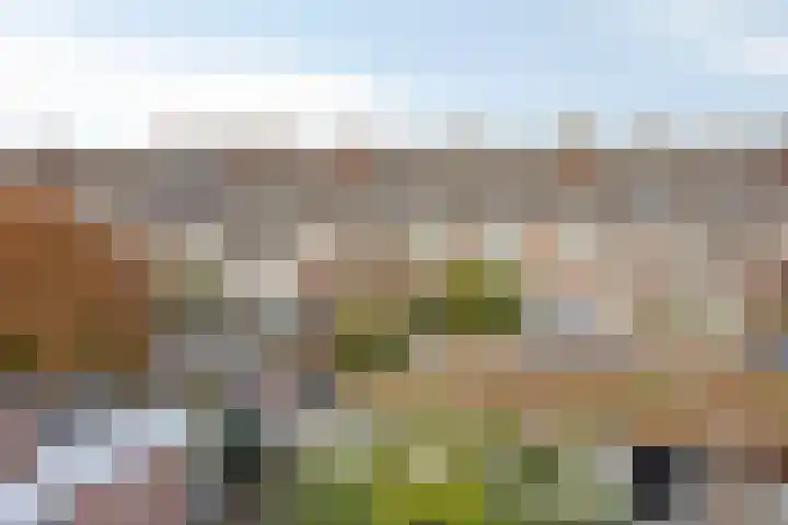 Ackersdijckstraat 34 's-Hertogenbosch thumbnail 31