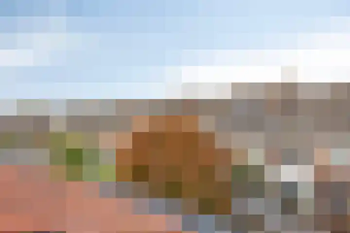 Ackersdijckstraat 34 's-Hertogenbosch thumbnail 32